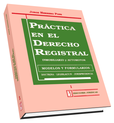 Libro Práctica en el Derecho Registral